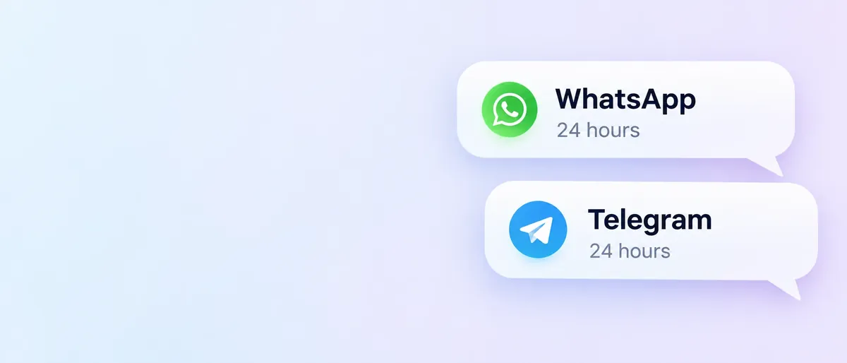WhatsApp and Telegram, 24 hours